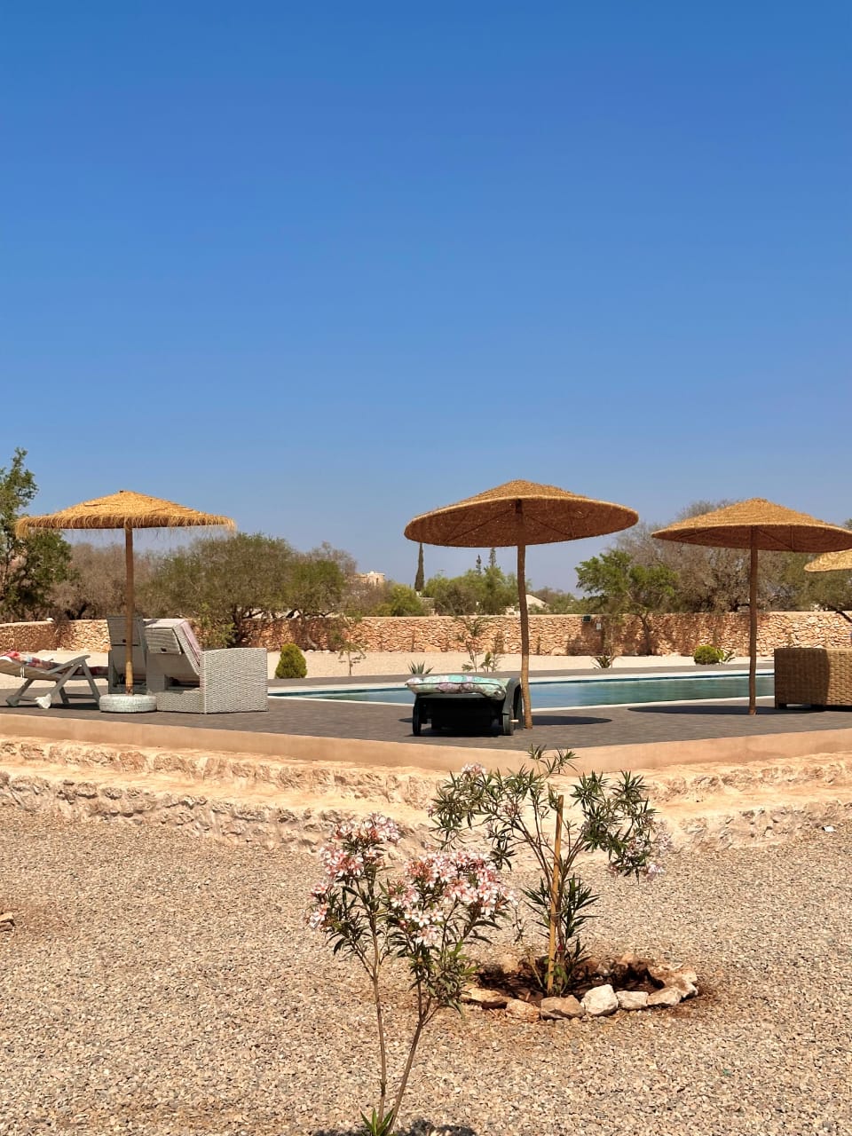 Day Pass piscine — Maison d'hôtes Majnia (Essaouira) - Photo 2