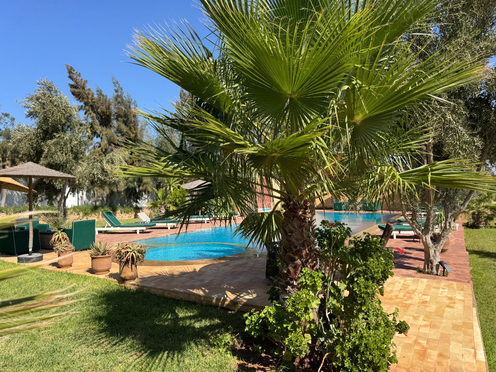 Dar Mimosa - Photo 2